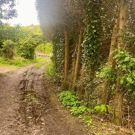 Railside Oasis Grosmont (North Yorkshire)