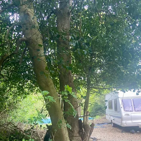 Kemp Railside Oasis Grosmont (North Yorkshire)